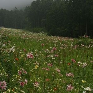 Meet your Posher, Haylee